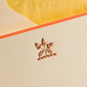 Acorn Note cards - Box of 10