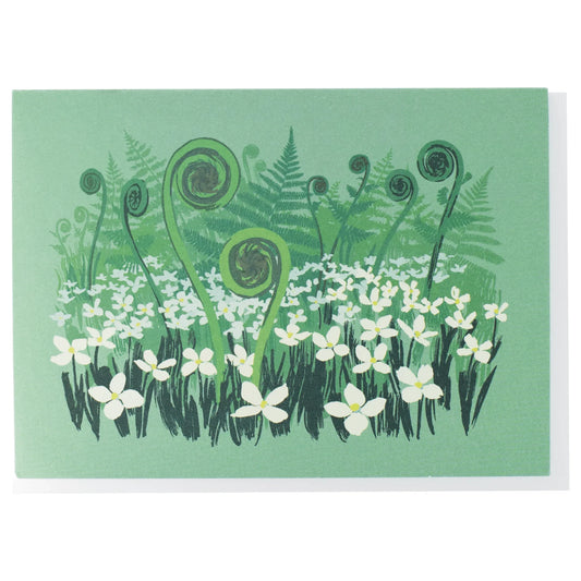 {Smudge Ink} Boxed Notecards :: Fiddlehead Ferns :: Set of 10