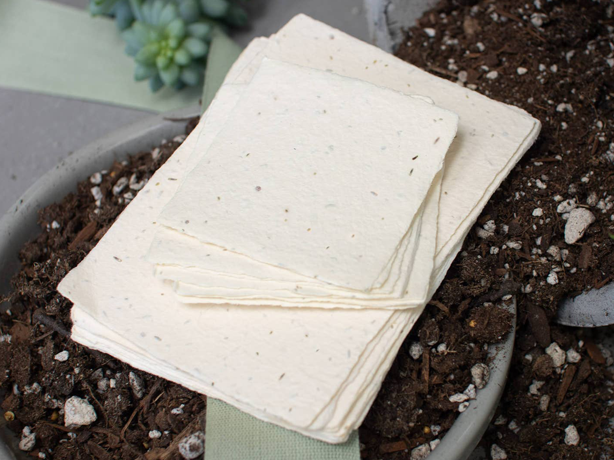 Seed Handmade Paper Pack, Various Sizes