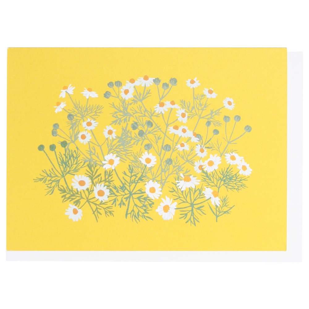 {Smudge Ink} Boxed Notecards :: Chamomile :: Set of 10
