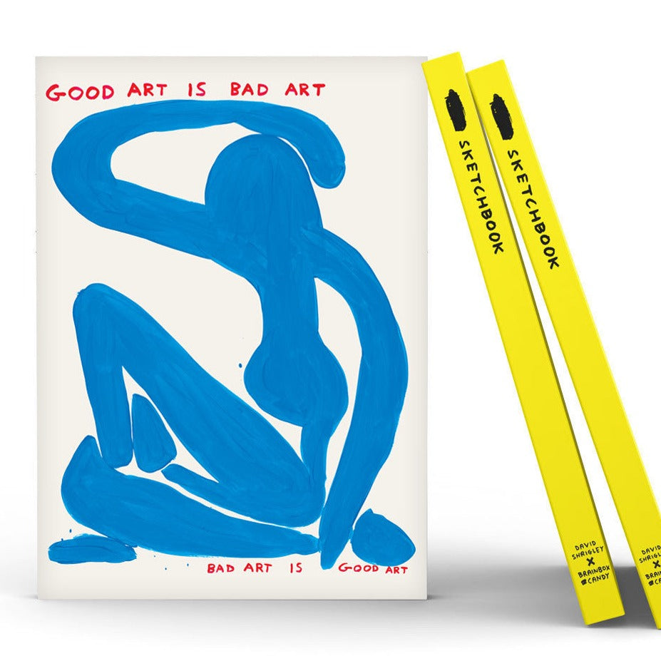 David Shrigley Good Art Sketchbook