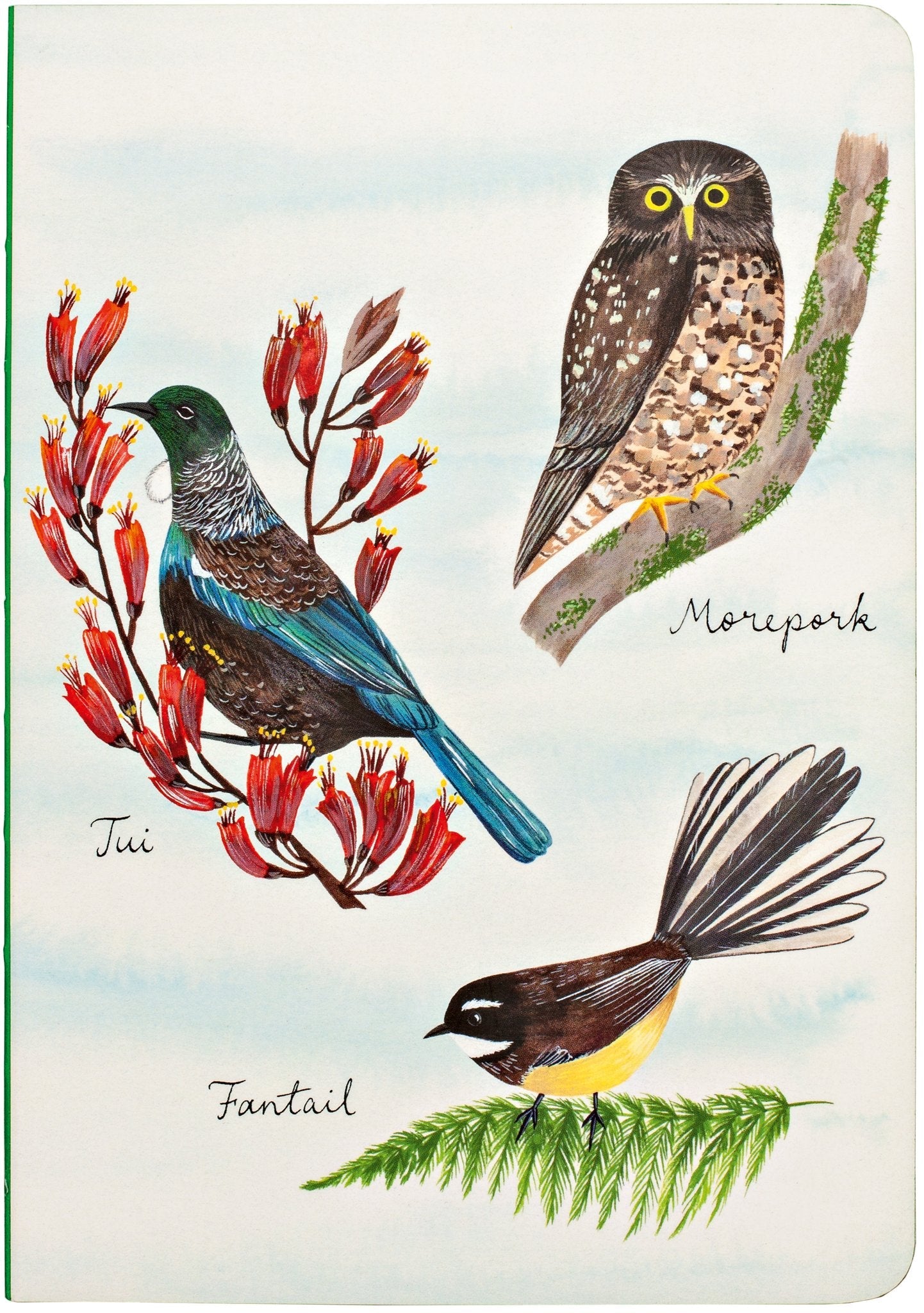 {teNeues} Birder's Notebook