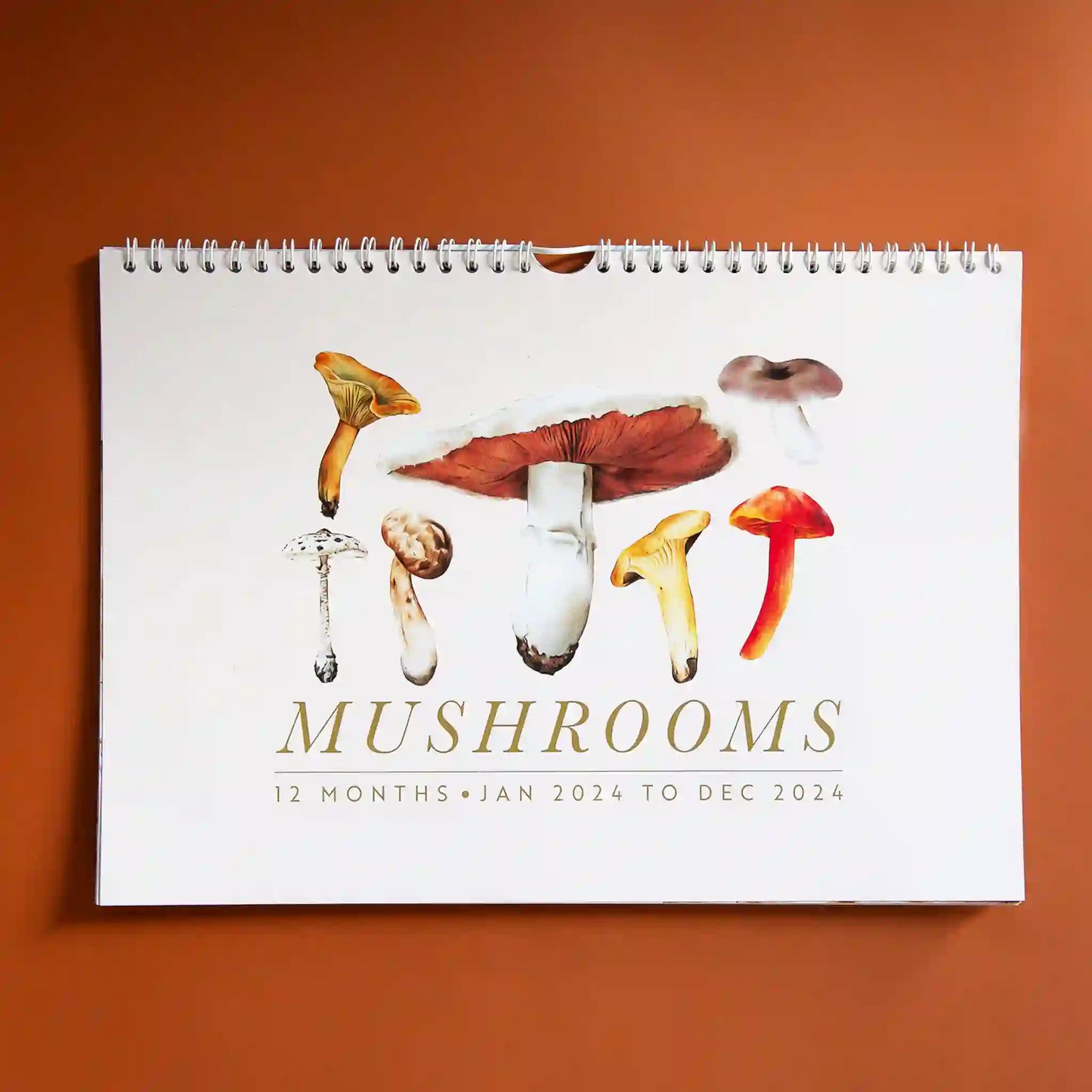 2024 Mushroom Calendar