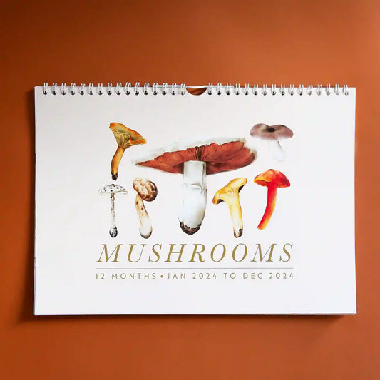 2024 Mushroom Calendar