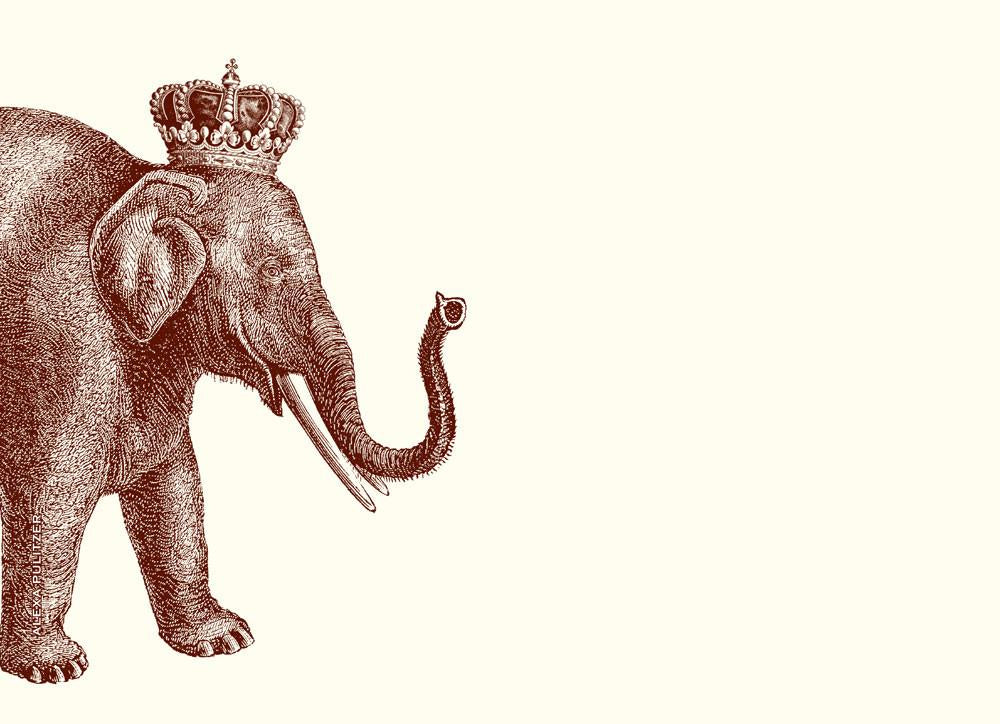 Lucky Elephant Notes