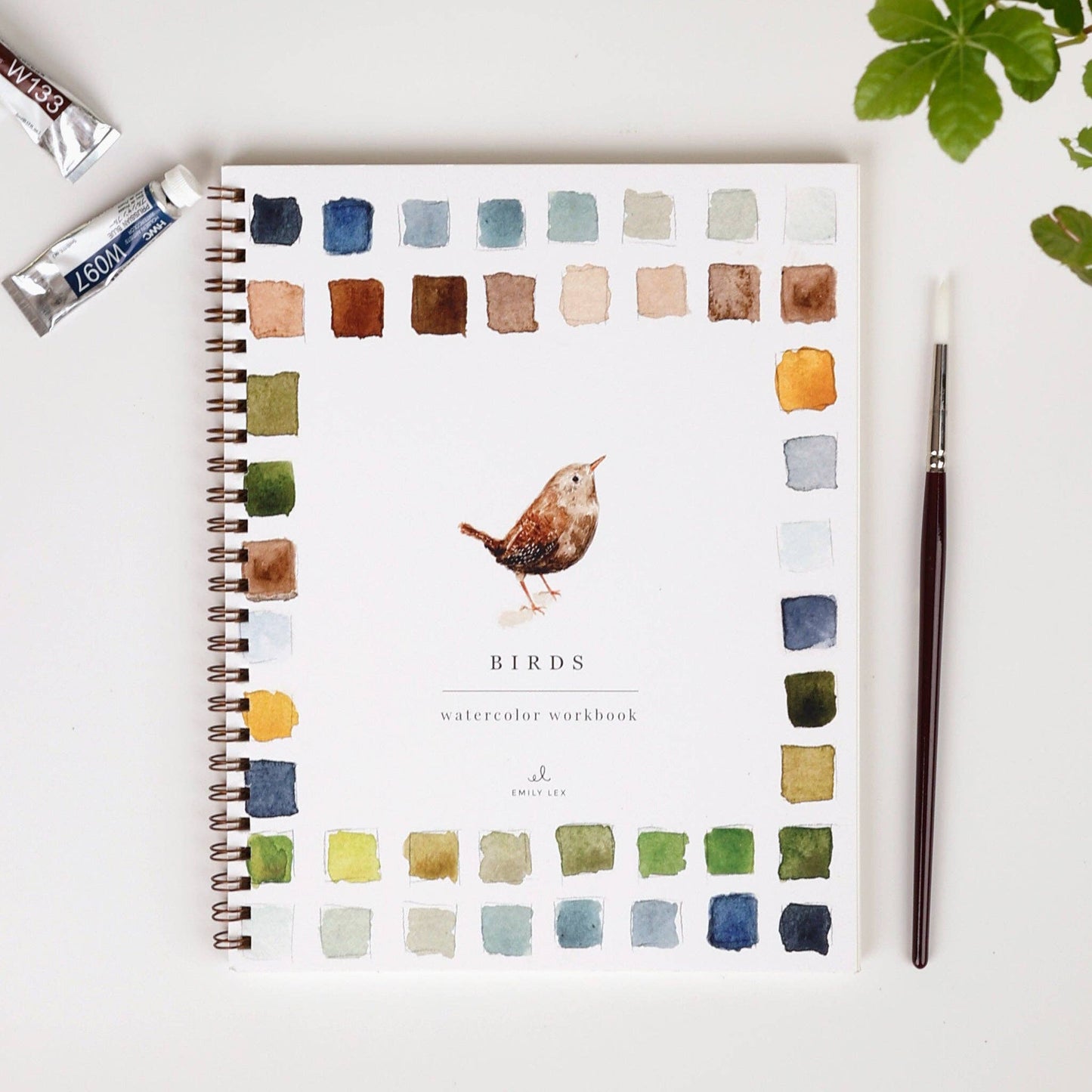 watercolor workbook birds
