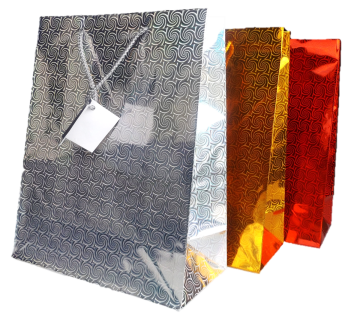 Holographic Bag Medium  12x12's