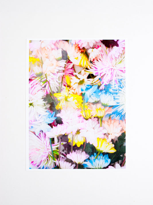 Pressed Flowers Print