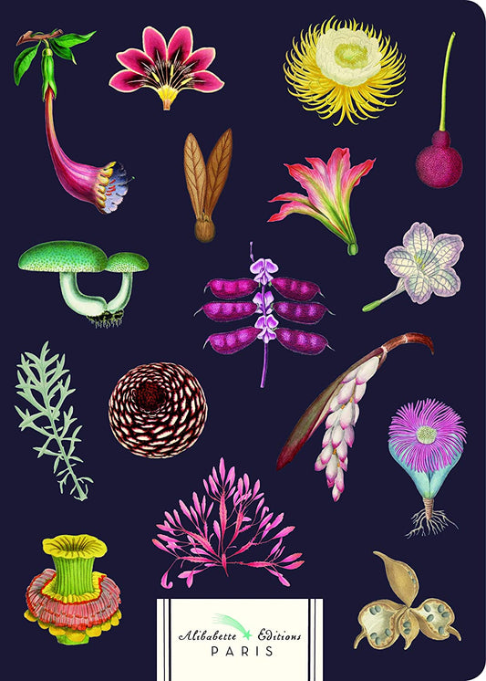 {Ingram} Alibabette Editions Paris Notebook :: Merveilleuses