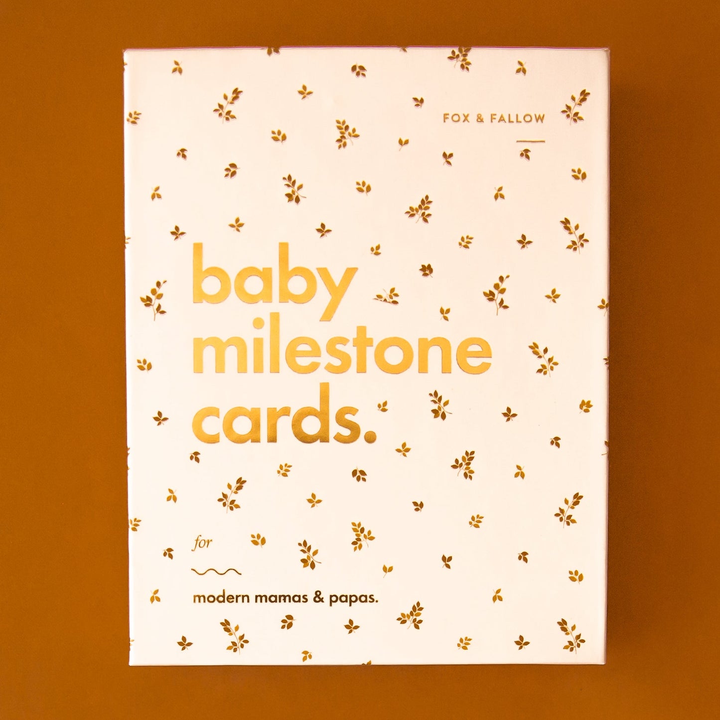 Baby Milestone Cards | Broderie