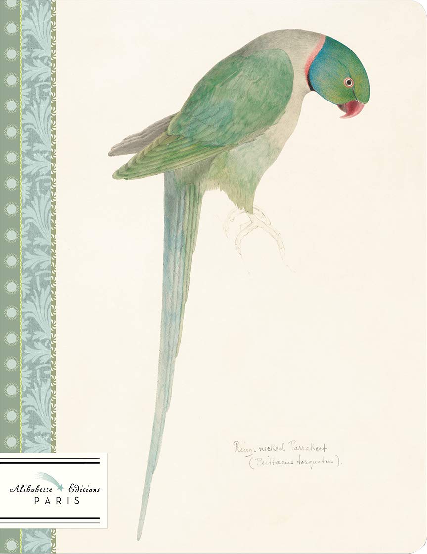 {Ingram} Alibabette Editions Paris Notebook :: Perruche Parakeet