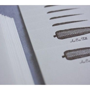 An Ear Full Notecards Box/8