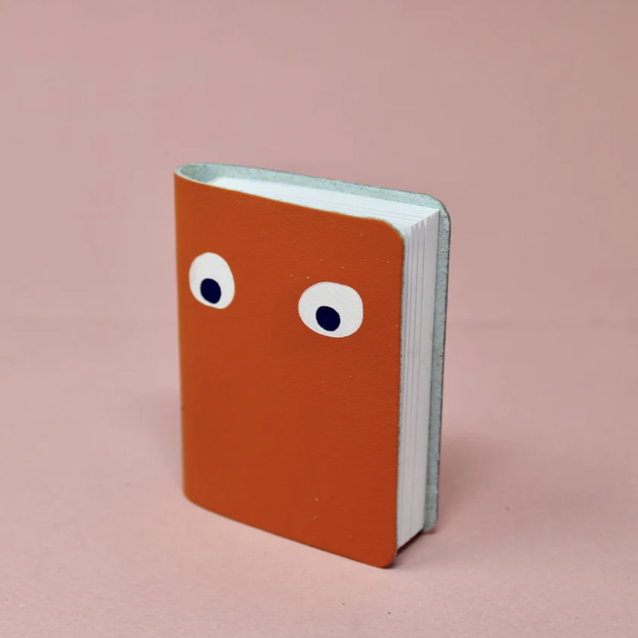 Googly Eyes Mini Notebooks