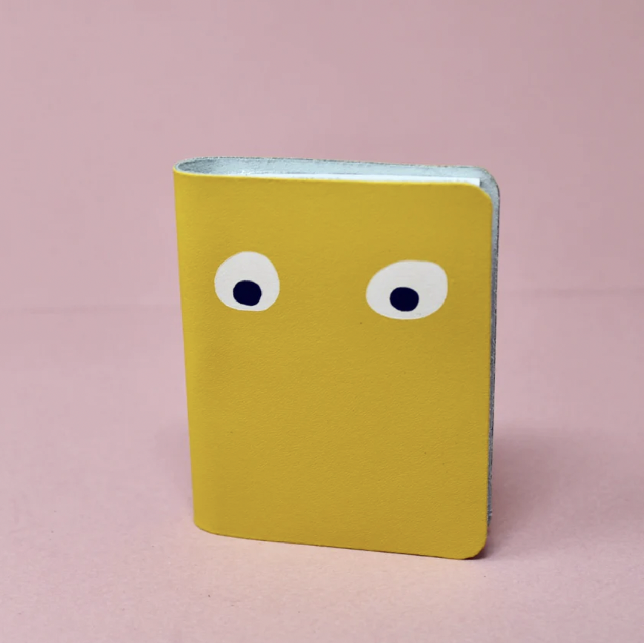 Googly Eyes Mini Notebooks
